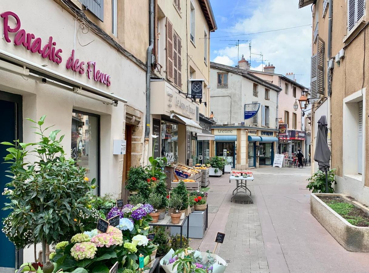 Charmant Appartement Au Coeur De Neuville - Lyon A 20Mn Neuville-sur-Saône Exterior foto
