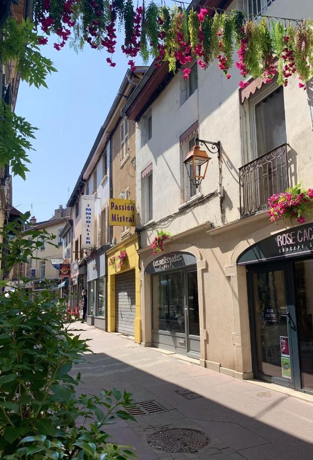 Charmant Appartement Au Coeur De Neuville - Lyon A 20Mn Neuville-sur-Saône Exterior foto